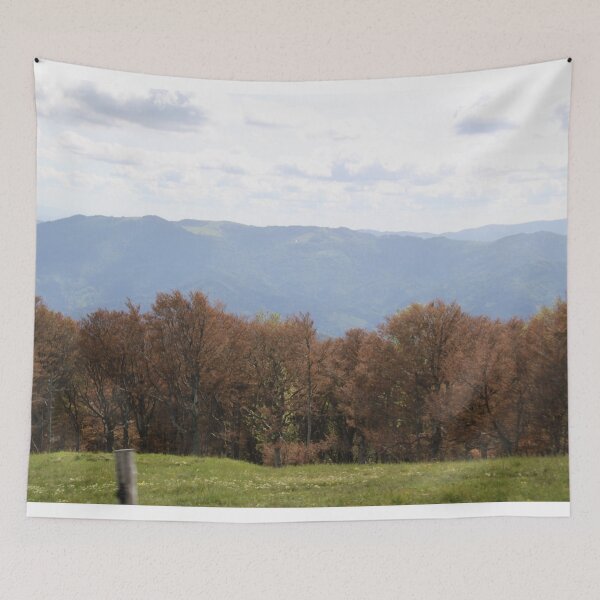 Item preview, Vosges beech forest burned by freezing designed and sold by EstelleRossetti.