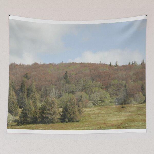 Item preview, Vosges beech forest burned by freezing designed and sold by EstelleRossetti.