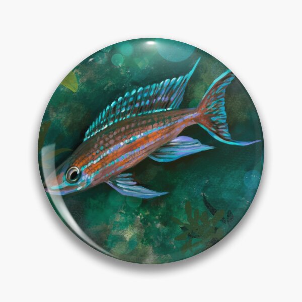 Item preview, Paracyprichromis nigripinnis Blue Neon Cichlid Aquarium Lake Tanganyika designed and sold by TheAplus.