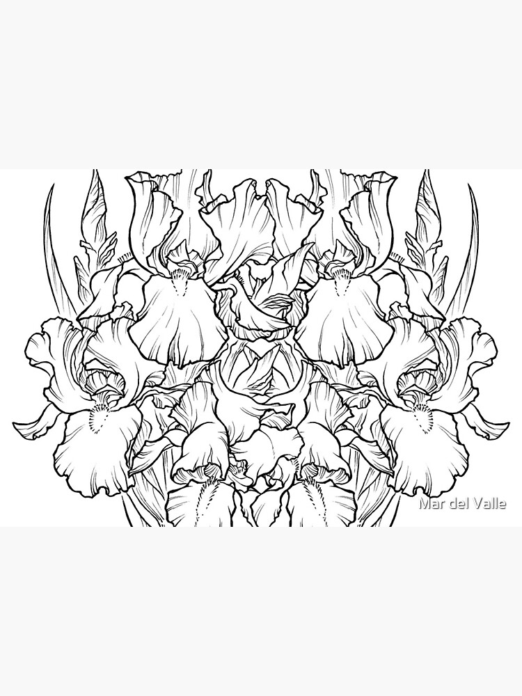 Irises - Black Line by mardelvallearts