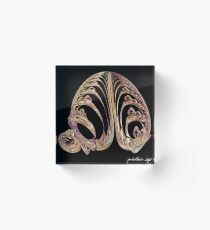 "Tail of the Trebibzond Bird" Acrylic Block
