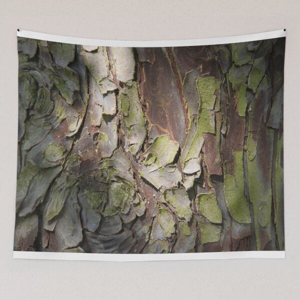 Item preview, cypress bark texture designed and sold by EstelleRossetti.