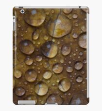Fall Water Droplets iPad Case/Skin