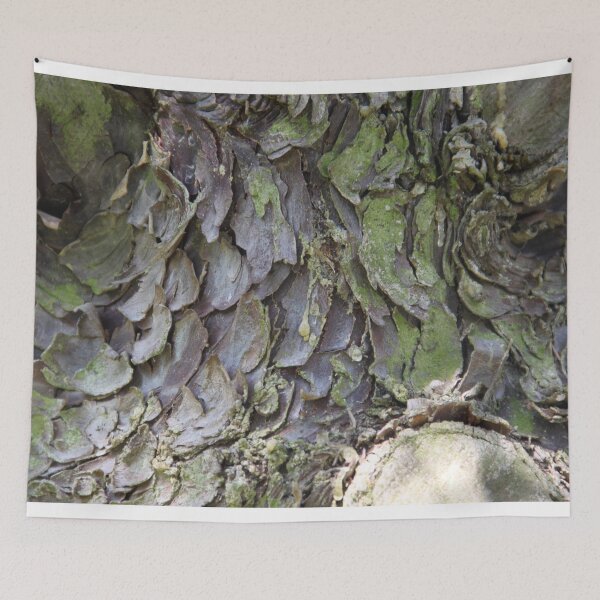 Item preview, cypress bark texture designed and sold by EstelleRossetti.