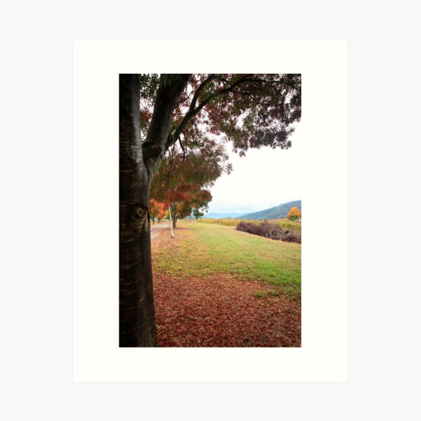 Item preview, Feathertop Winery - Porepunkah Victoria designed and sold by Emmy Silvius.