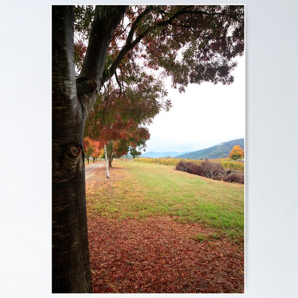Item preview, Feathertop Winery - Porepunkah Victoria designed and sold by Emmy Silvius.
