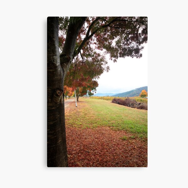 Item preview, Feathertop Winery - Porepunkah Victoria designed and sold by Emmy Silvius.
