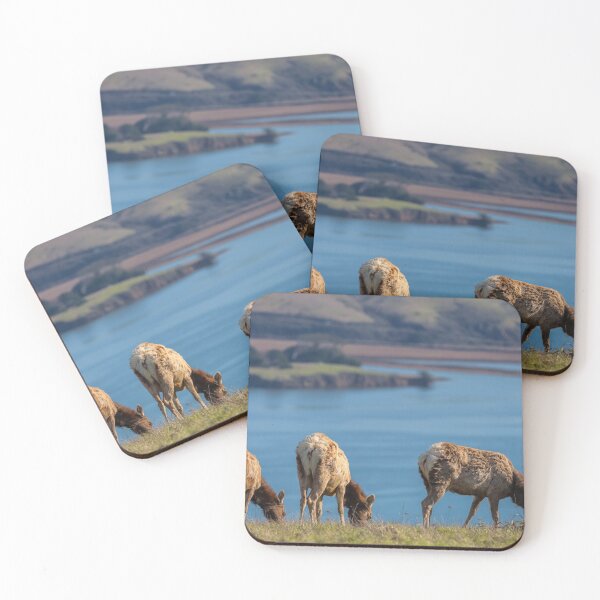 Item preview, We are Busy designed and sold by jvnimages.