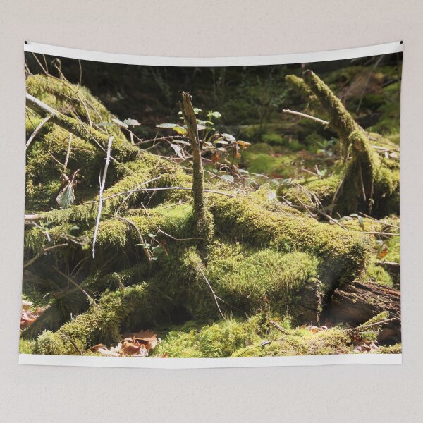 Item preview, Enchanted magical ambiance forest during winter	 designed and sold by EstelleRossetti.