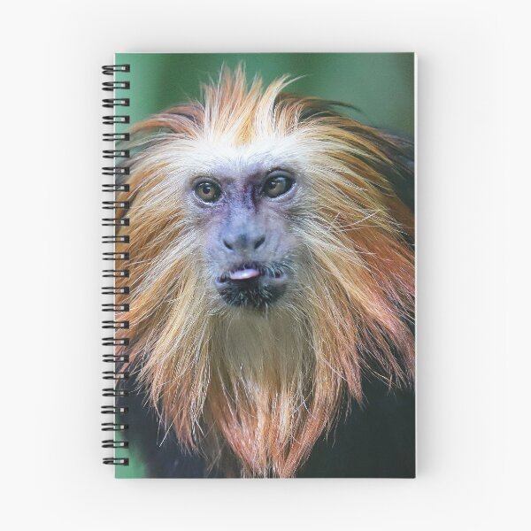 Item preview, Golden Lion Tamarin Monkey designed and sold by Danny5.