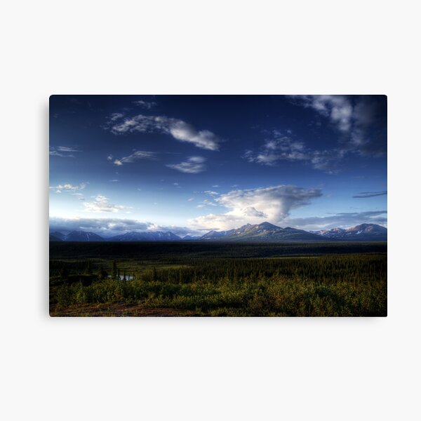 Wild Alaska in Summer Canvas Print