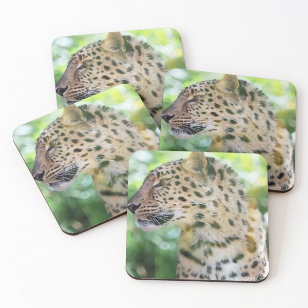 Item preview, Amur Leopard designed and sold by Danny5.