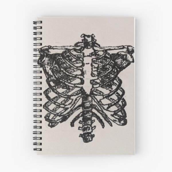 Item preview, anatomical skeleton ribs  designed and sold by smjaco.