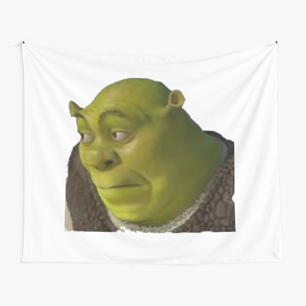 shrek wall tapestry