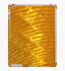 Reflector iPad Case/Skin