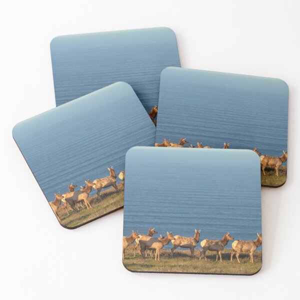 Item preview, Tule Elk Herd designed and sold by jvnimages.