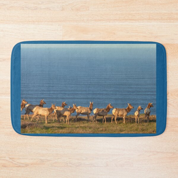 Item preview, Tule Elk Herd designed and sold by jvnimages.