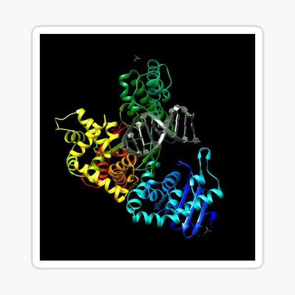Item preview, DNA Polymerase with DNA with Black Background designed and sold by MoLecULaR-biO.