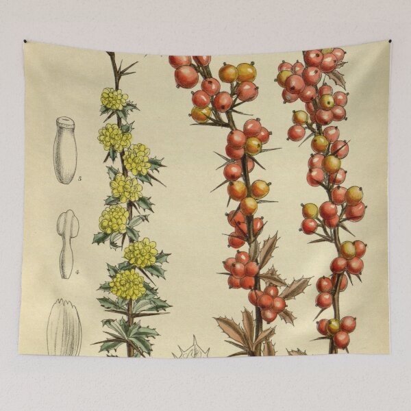 Item preview, Berberis aggregata 143 8722 designed and sold by EsotericBotanic.
