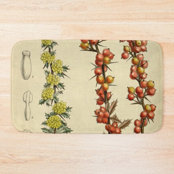 Item preview, Berberis aggregata 143 8722 designed and sold by EsotericBotanic.