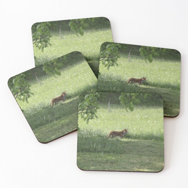 Item preview, Female cautious fox in the meadow	 designed and sold by EstelleRossetti.