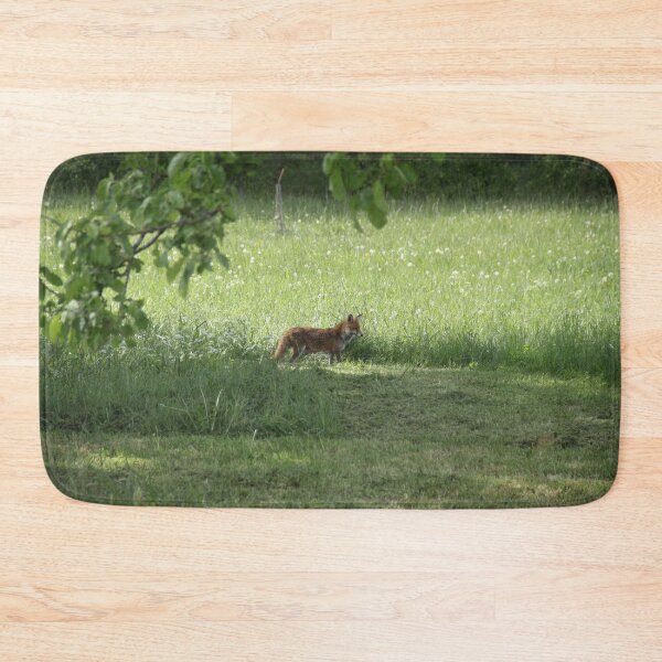 Item preview, Female cautious fox in the meadow	 designed and sold by EstelleRossetti.