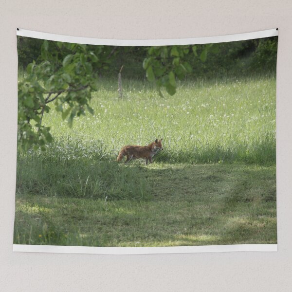 Item preview, Female cautious fox in the meadow	 designed and sold by EstelleRossetti.