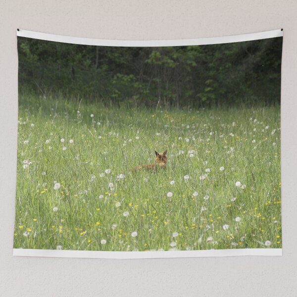Item preview, Female cautious fox in the meadow	 designed and sold by EstelleRossetti.