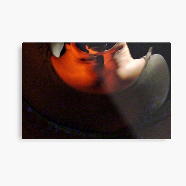 the curves of women 8 Metal Print