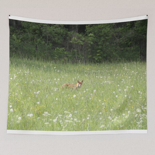 Item preview, Female cautious fox in the meadow	 designed and sold by EstelleRossetti.