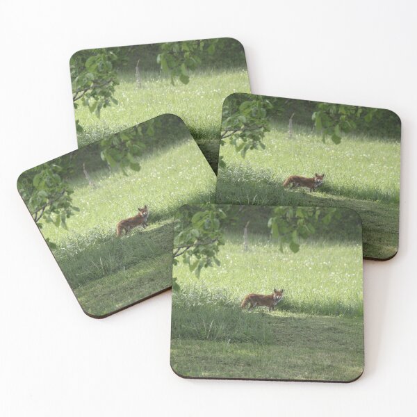 Item preview, Female cautious fox in the meadow	 designed and sold by EstelleRossetti.