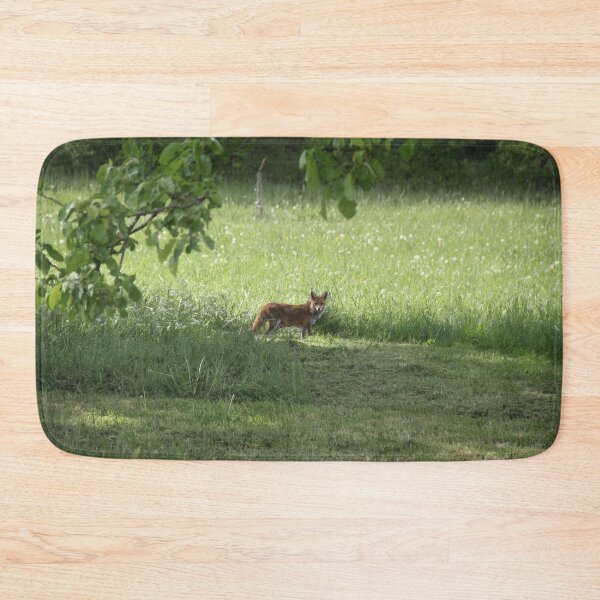 Item preview, Female cautious fox in the meadow	 designed and sold by EstelleRossetti.