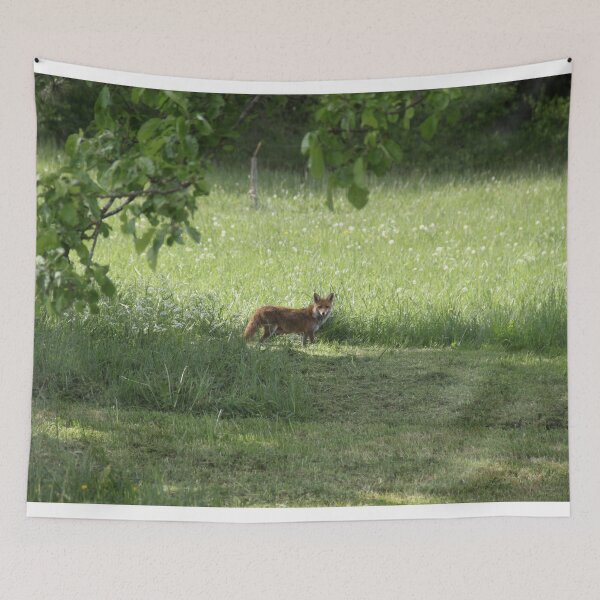 Item preview, Female cautious fox in the meadow	 designed and sold by EstelleRossetti.