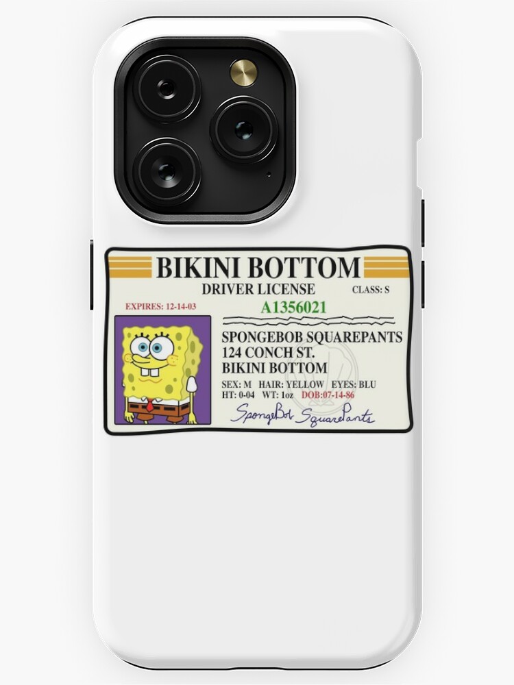 iPhone 12-14 Phone Case Canvas