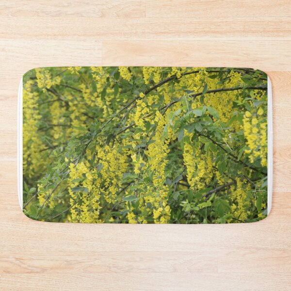 Item preview, Yellow golden inflorescence spring time common laburnum golden chain	 designed and sold by EstelleRossetti.