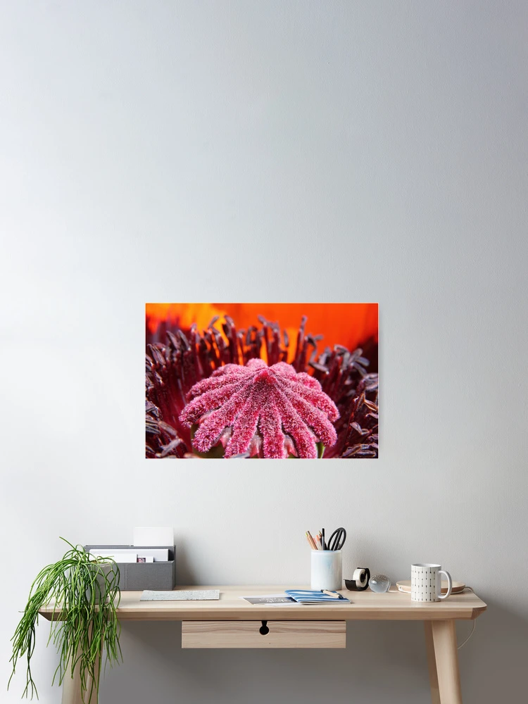 Thumbnail 2 of 3, Poster, Poppy designed and sold by Bill Rockenbeck.