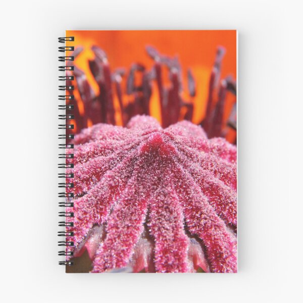 Aperçu de l'œuvre Poppy créée et vendue par Bill Rockenbeck.