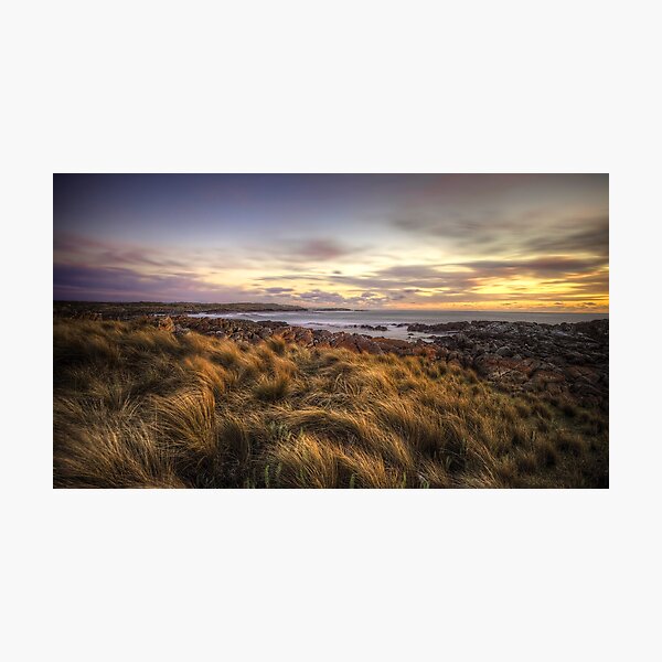 Artikelvorschau, Button Grass and Sea - Tarkine Coast - Tasmania entworfen und verkauft von highlux.