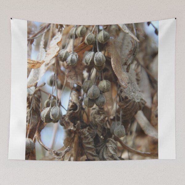 Item preview, Tilia medicinal comestible tree dry branch during springtime	 designed and sold by EstelleRossetti.