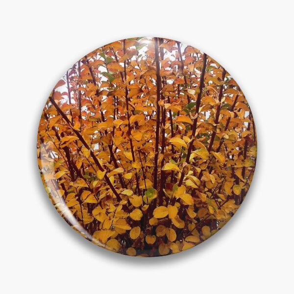 Item preview,  Autumn Colour designed and sold by KazM.