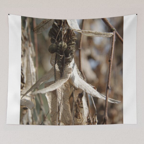 Item preview, Tilia medicinal comestible tree dry branch during springtime	 designed and sold by EstelleRossetti.