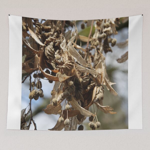 Item preview, Tilia medicinal comestible tree dry branch during springtime	 designed and sold by EstelleRossetti.