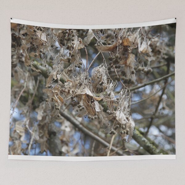 Item preview, Tilia medicinal comestible tree dry branch during springtime	 designed and sold by EstelleRossetti.
