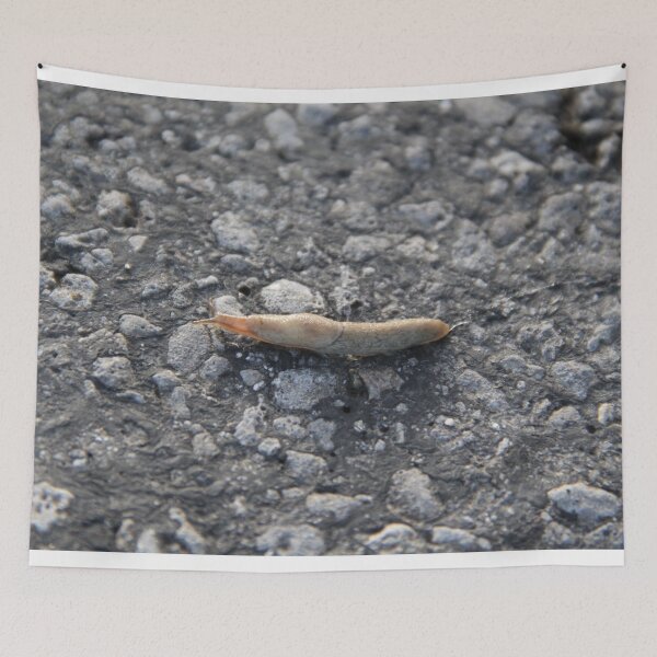 Item preview, Humid slobbery slug crossing a road bitumen	 designed and sold by EstelleRossetti.