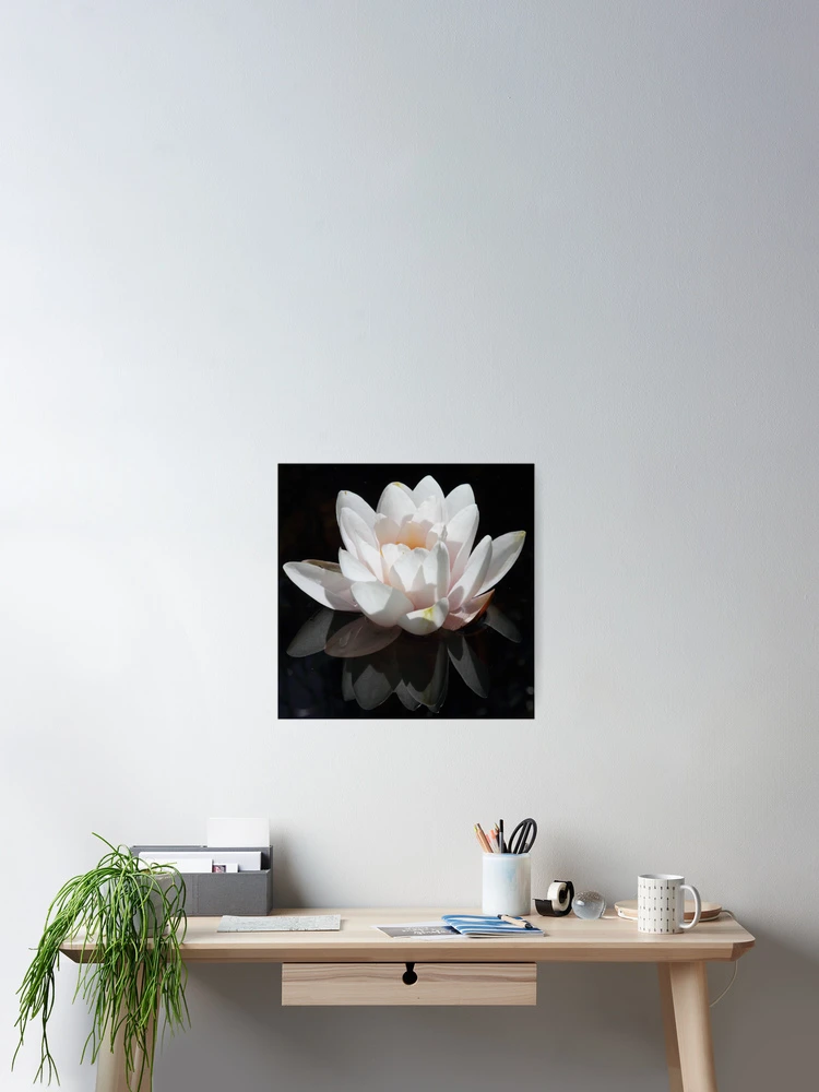 Thumbnail 2 of 3, Poster, Water Lilly designed and sold by Bill Rockenbeck.