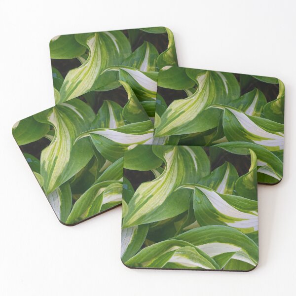 Item preview, Swirling Furling Hostas designed and sold by Kathilee.