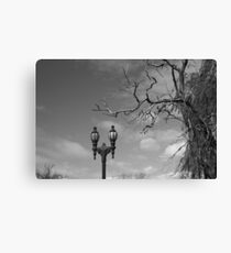 Abstact Canvas Print