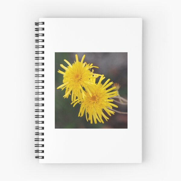 Item preview, Wild flowers Girraween National Park designed and sold by Jeanette Harrison.