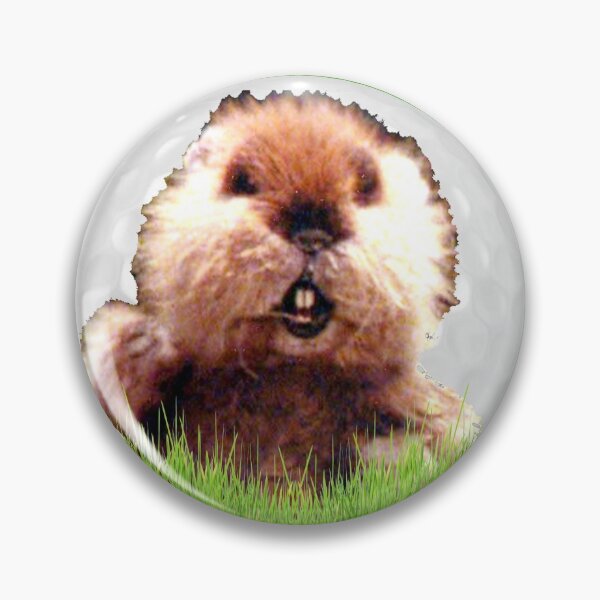 Item preview, I'm Alright Caddyshack Homage Gopher Kenny Loggins designed and sold by silkdegreestees.