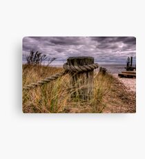 Lonely Canvas Print